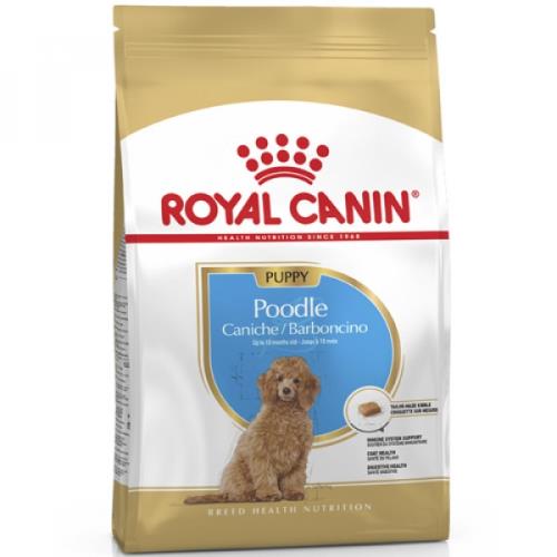 法國皇家BHN 貴賓幼犬PDP 3KG