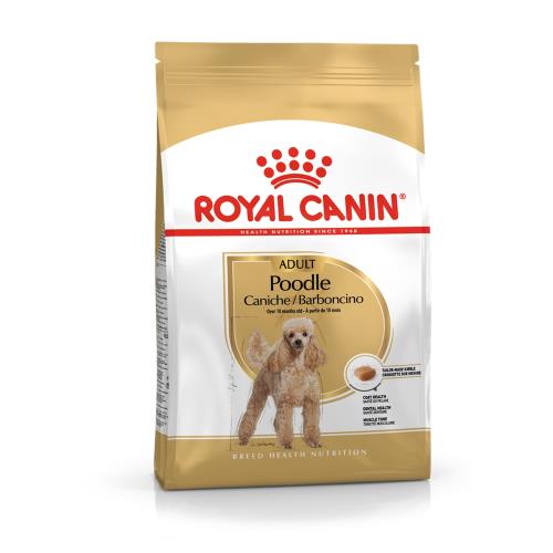 法國皇家BHN 貴賓成犬PDA 3KG  