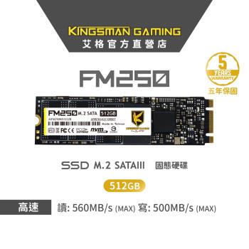 【AITC】艾格 FM250 SSD 512GB M.2 2280 SATAIII 固態硬碟