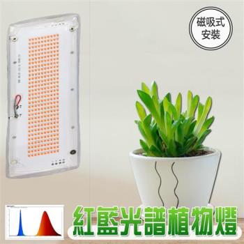 君沛 燈板系列 紅藍混光 植物燈 光譜 磁吸式 裸版型 植物燈版 20瓦