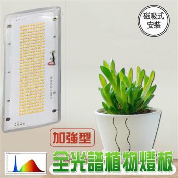 君沛 燈板系列 加強型全光譜 磁吸式 裸版型 植物燈版 20瓦 植物燈