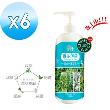 【HAPPY HOUSE】五合一香茅薄荷平安淨身沐浴乳(1000ml)-6入