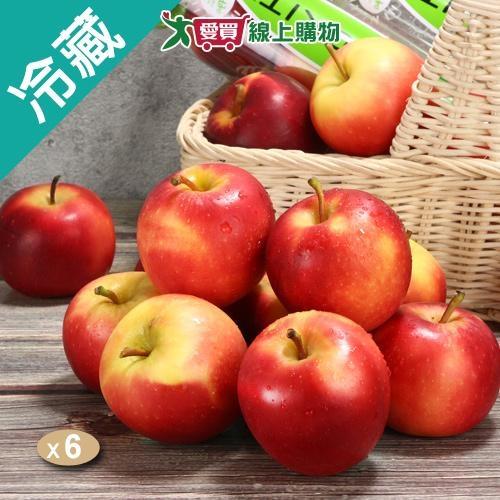 紐西蘭櫻桃蘋果X6桶/箱【愛買冷藏】