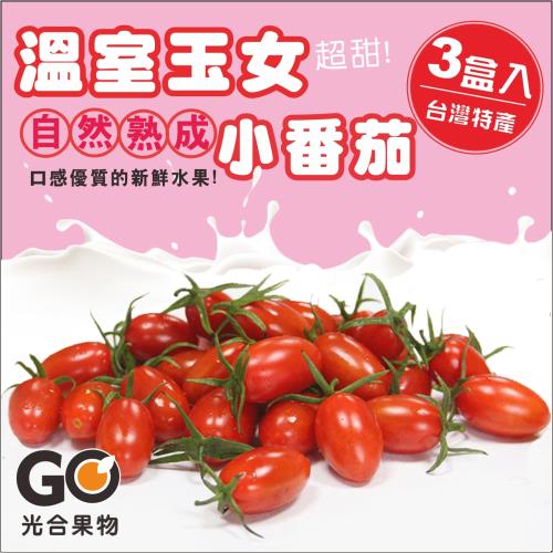 【光合果物】頂級全溫室玉女蜜番茄3盒(600g盒/3斤±10%)