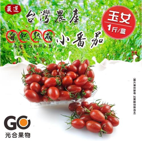 【光合果物】頂級全溫室玉女蜜番茄10盒(600g盒/10斤±10%)