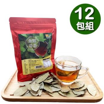 魚腥草養生茶12袋組 (4g*10入袋)
