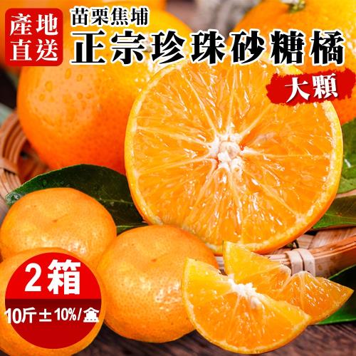 【禾鴻線上】苗栗蕉埔甜蜜爆汁正宗砂糖橘禮盒10斤(大顆)x2箱