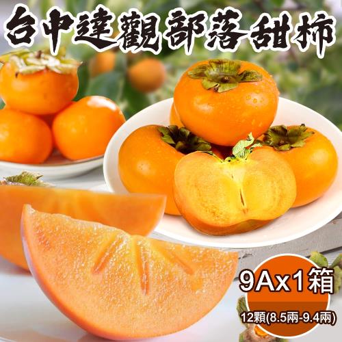 禾鴻 台中達觀摩天嶺保證好吃9a甜柿12顆x1箱 甜柿 Etmall東森購物網 禾鴻 台中達觀摩天嶺保證好吃9a甜柿12顆x1箱 甜柿 Etmall東森購物網