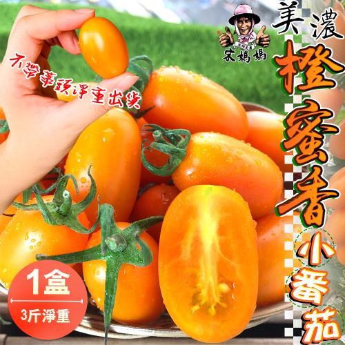 【宋媽媽】高雄美濃橙蜜香小番茄禮盒3斤x1盒(不帶蒂頭淨重出貨)