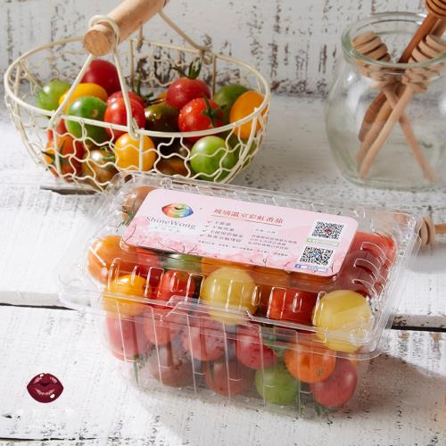 【ShineWong 果物美學】溫室彩虹小番茄500g x 4盒