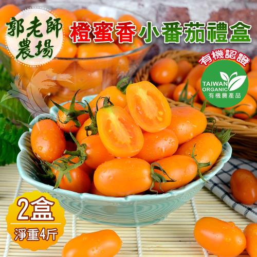 【禾鴻】有機認證橙蜜香小番茄4斤x2盒