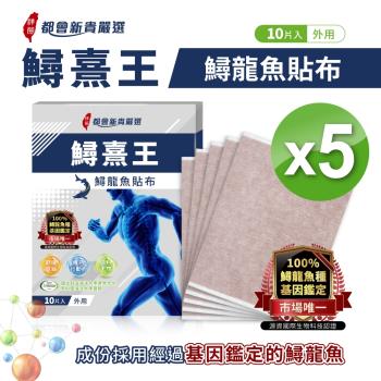 都會新貴 鱘熹王專用貼布 / 鱘龍魚主成份 （10片/盒）共5盒