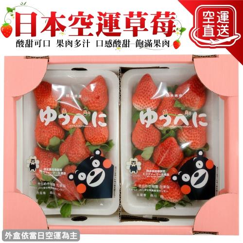 果物樂園-日本熊本/福岡/佐賀/長崎空運草莓2P(約550-600g/盒)
