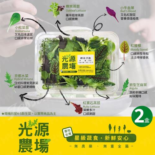 【開元食品】光源農場綜合沙拉x2盒(150g/盒)