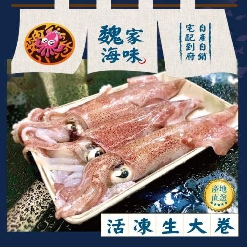 【魏家海味】基隆八斗子船撈活凍生大卷16盒組(3-5隻/300g/盒x16盒)