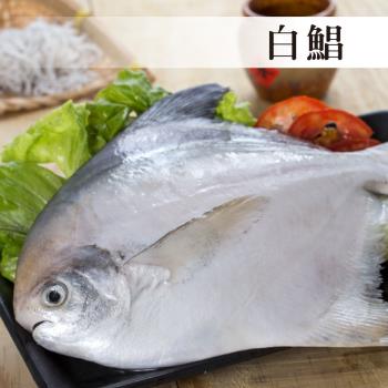 鯧魚/黃魚鮮魚ETMall東森購物網