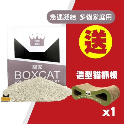國際貓家 BOXCAT 灰標極速凝結小球砂12L_(貓砂 礦砂)