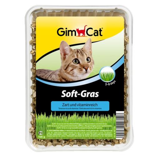 Gimpet 竣寶 香味軟貓草盒裝100g _(種植貓草/貓薄荷)