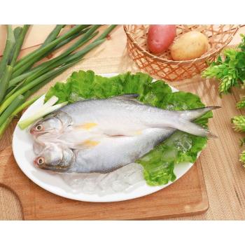 鱸好家午仔魚一夜干240g 8尾組 午仔魚 Etmall東森購物網 鱸好家午仔魚一夜干240g 8尾組 午仔魚 Etmall東森購物網