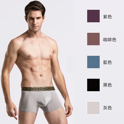 CS22 超薄透氣男士平口內褲-5件組(平口內褲)