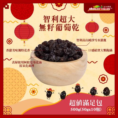 智利 頂級超大無籽葡萄乾 超值滿足袋x1袋(50gx10包/袋)