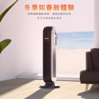 飛利浦 PHILIPS AHR2142FD 葉片式直髮器 專業造型工具 快速加熱 可調溫度  BSMI認證