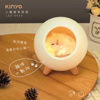 KINYO USB充電LED小寵屋氣氛燈(LED-6540)