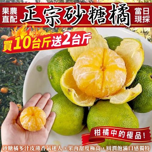 【買10送2】果農直配-台灣正宗砂糖橘1箱(共約12斤/箱)