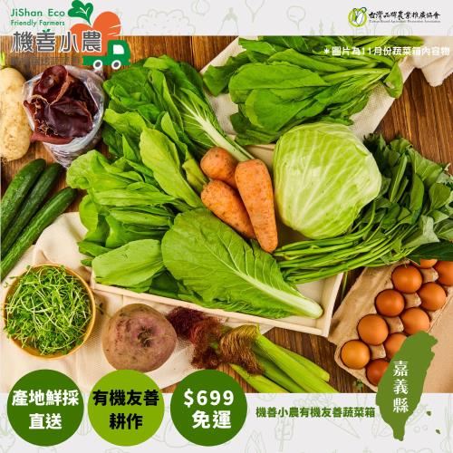【機善小農_蔬菜箱】嘉義縣_經濟箱8件(有機友善/產地鮮採直送/支持家鄉好農產)