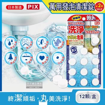 日本獅子化工PIX 廚房浴室排水孔管道疏通去垢除臭發泡清潔錠12顆x2盒(馬桶,濾網,洗衣槽,砧板洗淨丸)