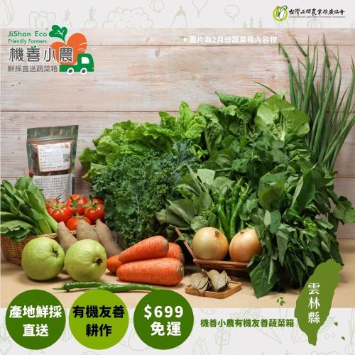 【機善小農_蔬菜箱】雲林縣土香_經濟箱9件(每週出箱)(有機友善/產地鮮採直送/支持家鄉好農產)
