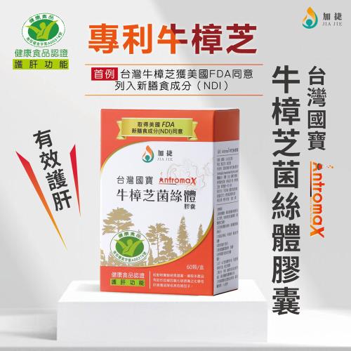  即期品 【加捷生醫】護肝 健字號 牛樟芝菌絲體膠囊(60顆/盒)延緩化學性肝損傷 熬夜 補充體力 調整體質 含高規格三萜類