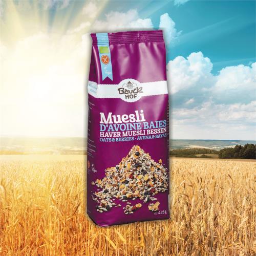 【德國 BauckMühle】寶客無麩質綜合莓果燕麥片 (425g/包)(無蛋奶) 1包入