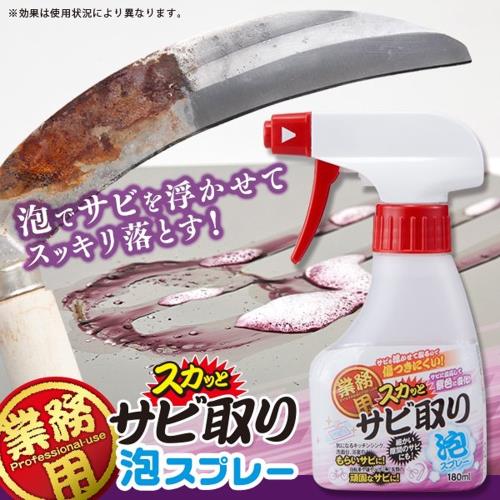 Aimedia 艾美迪雅 專業用強力除鏽泡泡清潔液-日本製