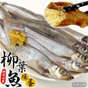 海肉管家-挪威/冰島柳葉魚10包(約200g/包)