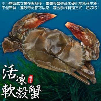 漁村鮮海-嚴選冷凍軟殼蟹6盒(8-10隻 約600g/盒)