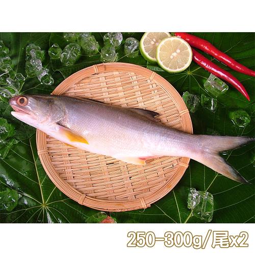 【新鮮市集】人氣原味午仔魚2尾(250-300g/尾)