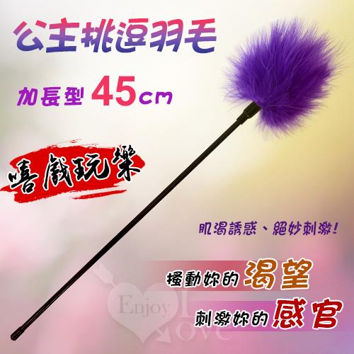 加長型 - 公主挑逗羽毛 - 嘻戲玩樂必備  紫色 - 長45cm  NO.500840