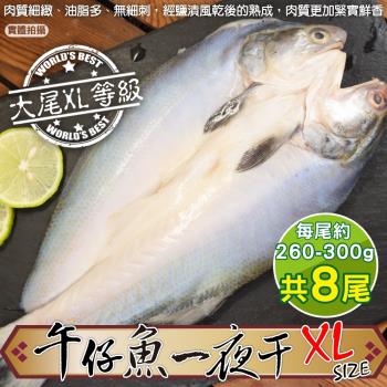 漁村鮮海-台灣午仔魚一夜干XL號8尾(約260-300g/尾)