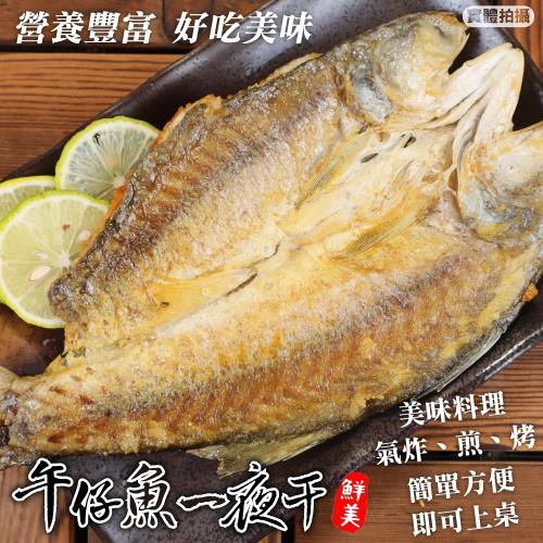 漁村鮮海-台灣午仔魚一夜干1尾(約150-200g/尾)