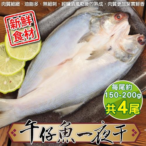 漁村鮮海-台灣午仔魚一夜干4尾(約150-200g/尾)