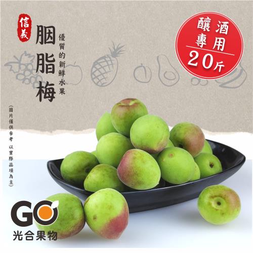 【光合果物】南投老欉胭脂梅 大顆 釀酒專用(20斤±10%/箱)