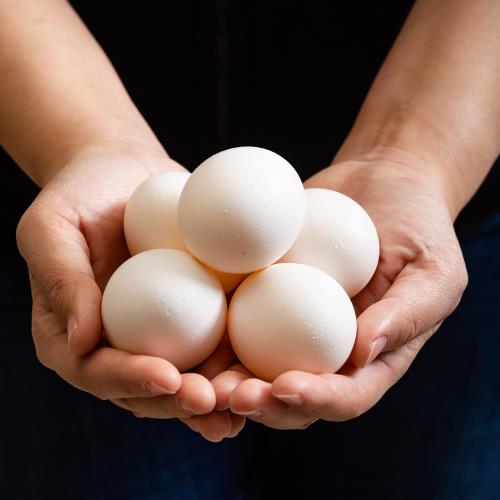 雙北限定~【買一送一】專業農新鮮白殼雞蛋18顆組