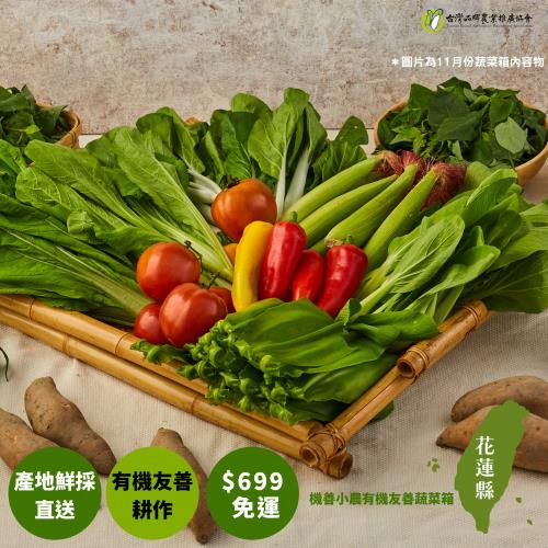 【機善小農_蔬菜箱】花蓮縣_經濟箱8件(每週出箱)(有機友善/產地鮮採直送/支持家鄉好農產)