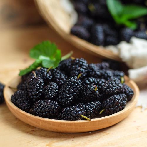 【永齡選物】紫鑽鮮凍桑葚3kg±5%/盒(共3包)