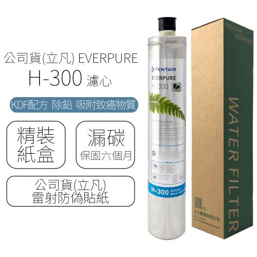 EVERPURE H300的價格推薦- 2023年11月| 比價比個夠BigGo