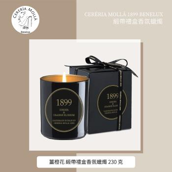 【Cereria Molla 1899】姜橙花 緞帶禮盒香氛蠟燭 230克