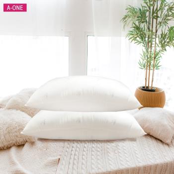 【A-ONE】RobertaColum諾貝達卡文 防螨抗菌壓縮枕/除臭機能枕(3M吸濕排汗專利/日本大和防螨抗菌)