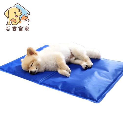 (毛寶當家)寵物冰墊XL號90*50cm 貓狗冰墊 人寵可用 筆電散熱 涼墊 狗窩 貓床