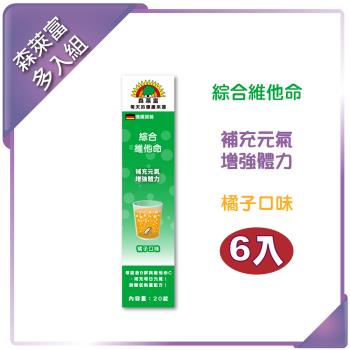 【SUNLIFE森萊富】綜合維他命發泡錠(橘子口味 x 6入組)